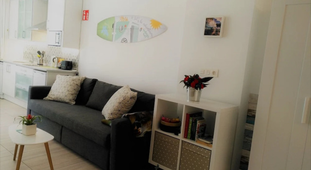 Apartamentos Museum Zarautz