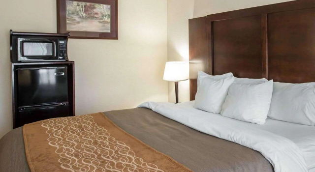 Двухместный номер Standard Comfort Inn & Suites Spartanburg North