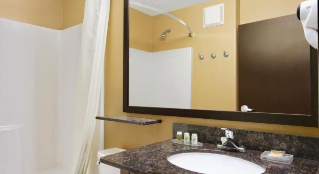 Четырёхместный номер Standard Microtel Inn & Suites by Wyndham Buda Austin South