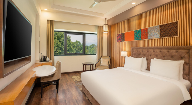 Номер Standard Radisson Srinagar