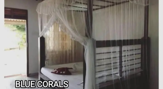 Blue Corals Beach Bungalow
