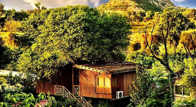 Номер Luxury The Tree House Resort