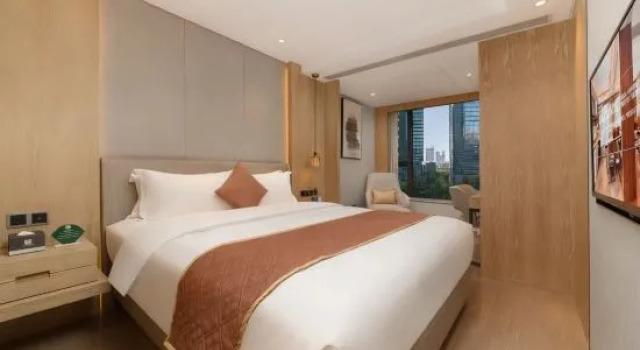 Двухместный люкс Business Shenzhen FY Hotel