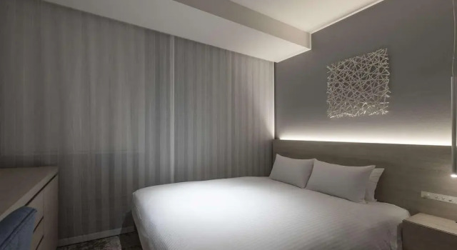 Двухместный номер Superior HOTEL FORZA SAPPORO STATION