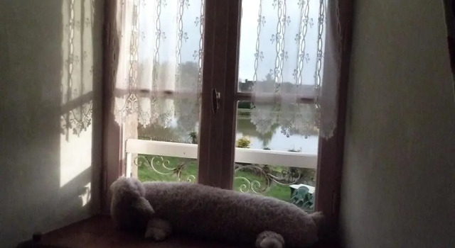 Номер Standard B&B LAtelier du Presbytère