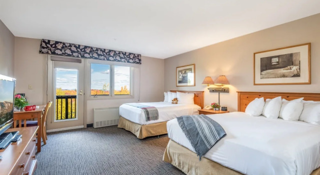 Четырёхместный номер Standard Jordan Hotel