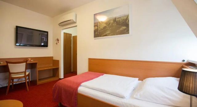 Одноместный номер Standard Wine Wellness Hotel Amande Hustopeče