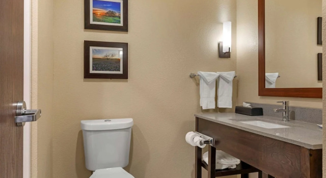 Двухместный люкс Standard Comfort Inn & Suites Euless DFW West