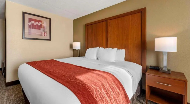 Номер Standard Comfort Inn & Suites Triadelphia - Wheeling
