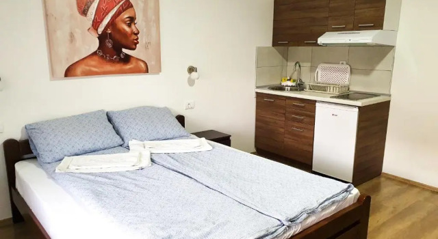 Студия Apartments Velickovic
