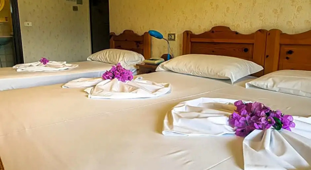 Трёхместный номер Standard с видом на сад Residence Hotel Maxi