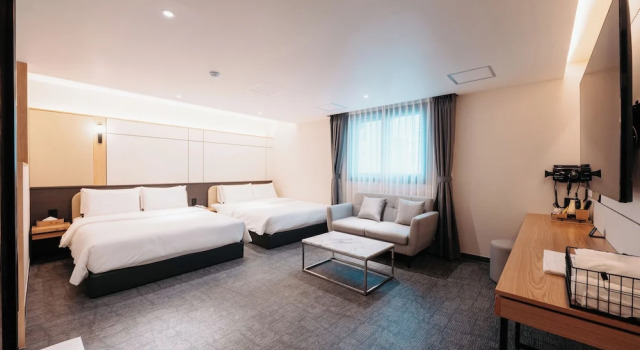 Premier Zimmer CozyTree Hotel
