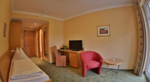 Номер Standard Hotel Seerose