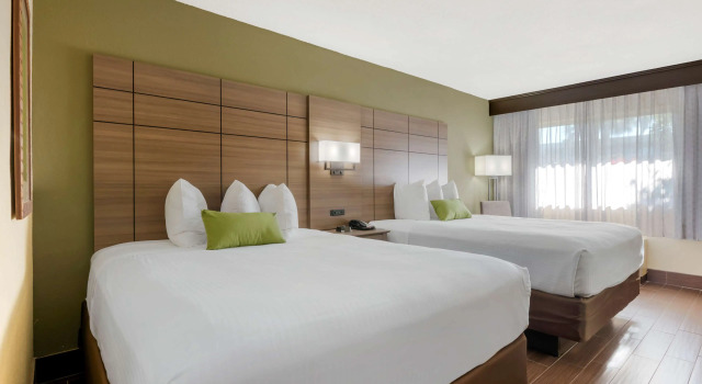 Четырёхместный номер Standard Best Western Downtown Stuart