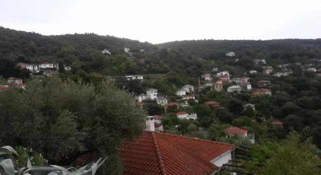 Holiday House Afetes Pelion Αφετες Πηλιου, Book Hotel South Pelion Thessalia