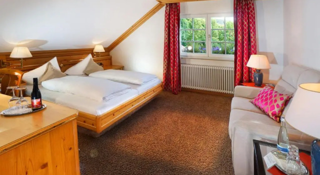 Номер Standard Hotel Rebstock Durbach