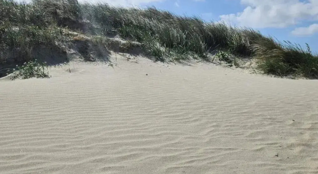 Коттедж Holiday Home in Fanø