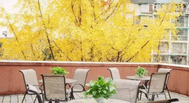 Chang chun Garden Hotel (Chengdu Shuangliu International, Dongsheng Town)