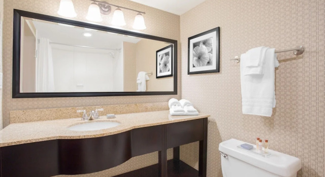 Номер Standard Spark by Hilton Rock Hill