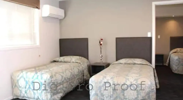 Номер Standard Phoenix Palm Motel