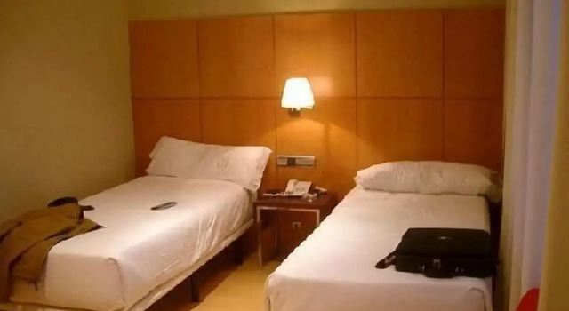 Двухместный номер Standard Hotel Feria