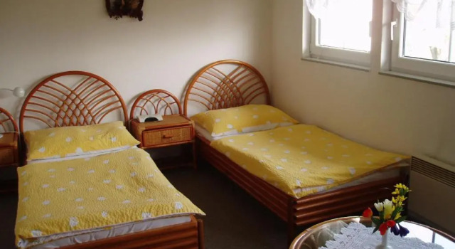 Двухместный номер Standard Pension Habermannova Vila