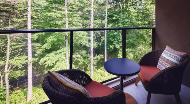 Двухместный номер Standard с видом на реку Hotel Indigo Karuizawa by IHG