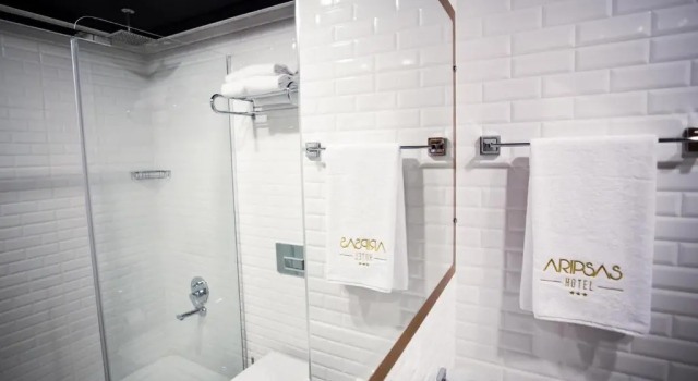 Одноместный номер Standard Aripsas Hotel