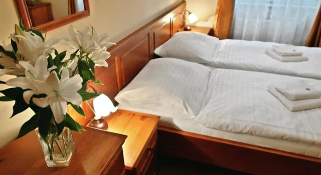 Двухместный номер SPA Hotel Liliova Prague Old Town