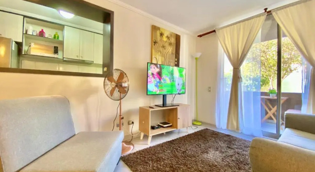 Апартаменты Apartamentos Alma Surire