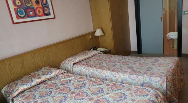 Двухместный номер Standard Hotel Raffaello Venice