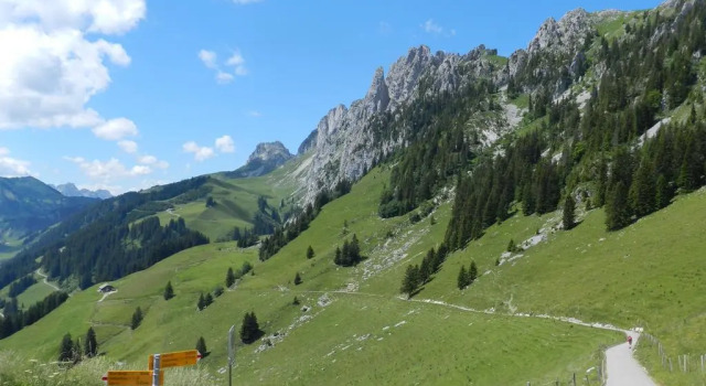 Waldruhe, Prenota Hotel Jaun La Gruyere