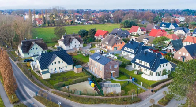 Seelöwe - a26420