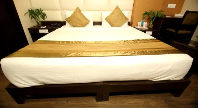 Одноместный номер Deluxe New Rousha Inn Ghaziabad