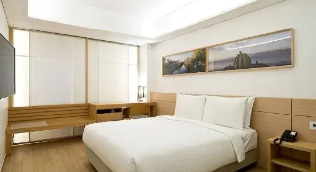 Двухместный номер Executive Sotetsu Hotels The Splaisir Seoul Myeongdong
