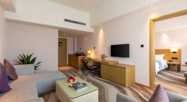 Люкс Business Lin Xi Hotel