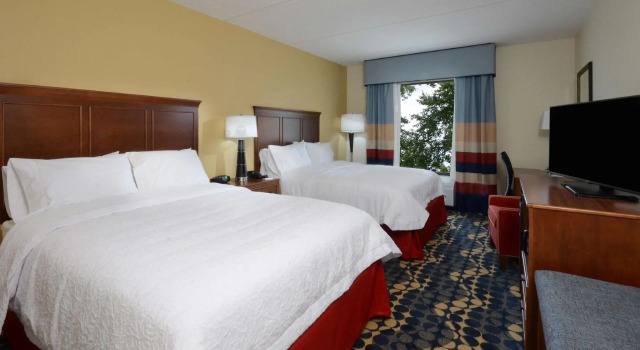 Четырёхместный номер Standard Hampton Inn & Suites Lynchburg