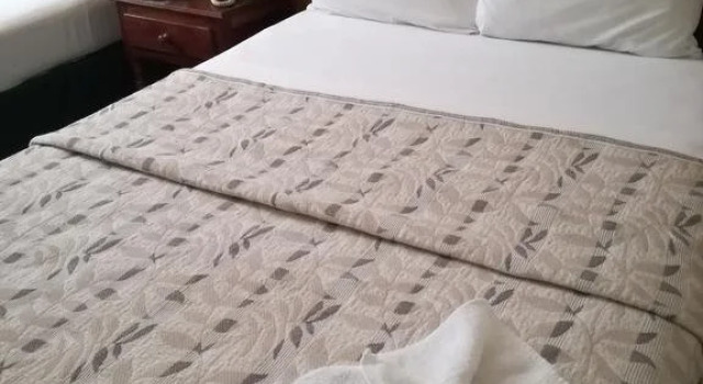 Hotel Dinastia Colima
