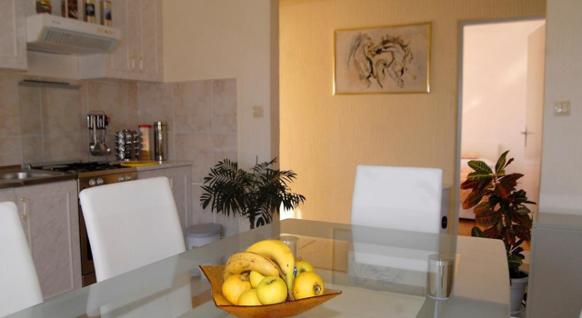 Apartment Ante - with large terrace : A1 Primosten, Riviera Sibenik, Забронировать Апартаменты/квартира Примоштен Шибеник