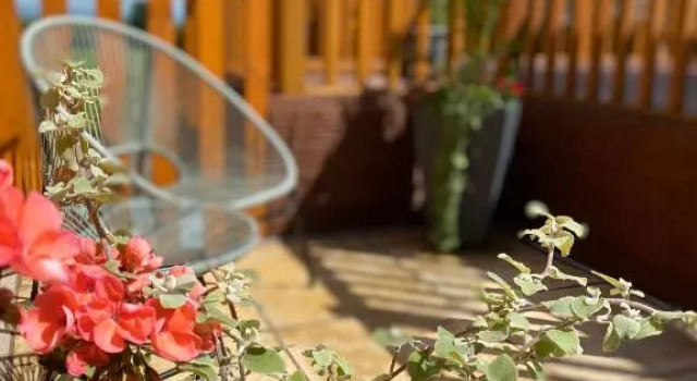 The Beehive -Stunning Views - Hot Tub - Romantic