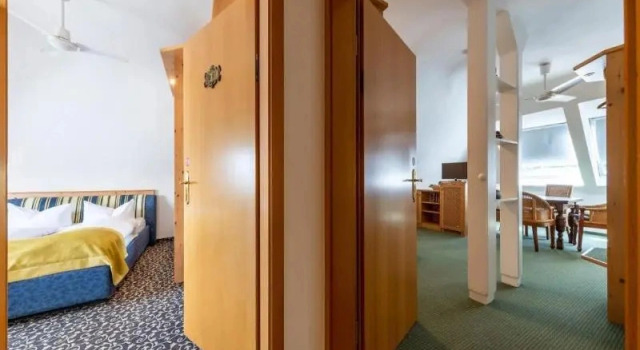 Люкс Standard Thermen Hotel Bad Soden am Taunus