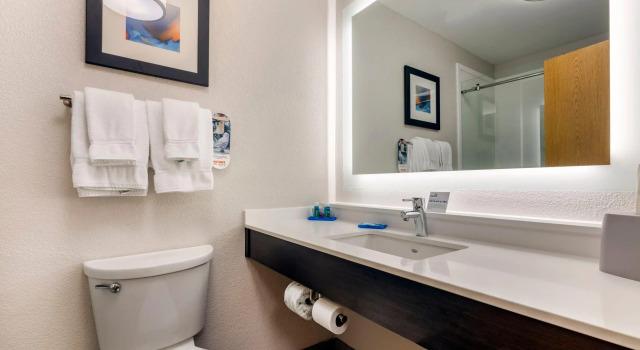 Двухместный люкс Holiday Inn Express Metropolis by IHG