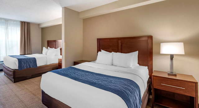 Четырёхместный номер Standard Comfort Inn & Suites Virginia Beach - Norfolk Airport