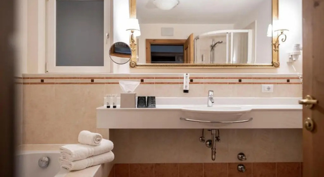 Двухместный номер Standard с балконом Viktoria Alpine Hideaway
