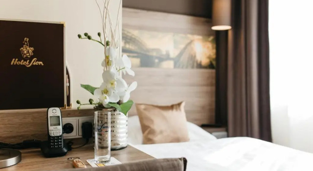 Одноместный номер Standard Hotel Sion