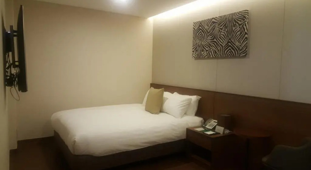 Полулюкс WD Hotel