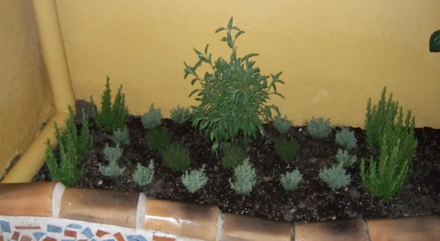 Коттедж с 5 комнатами Terra Blanca del Benicadell