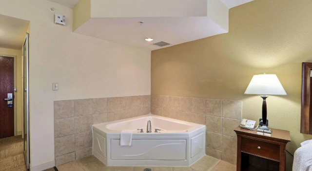 Двухместный номер Standard Hampton Inn & Suites Savannah - I-95 South - Gateway
