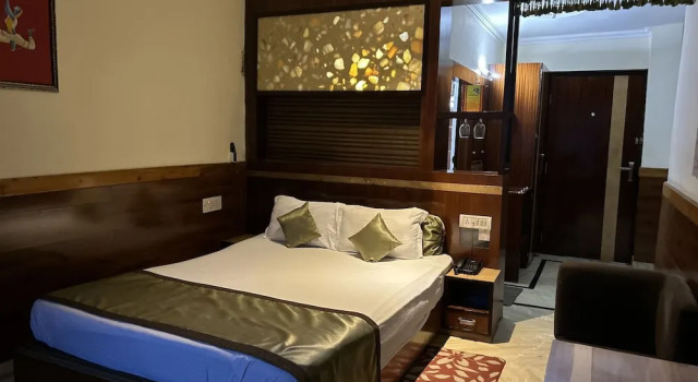 Номер Deluxe Hotel Gandhi's Paradise