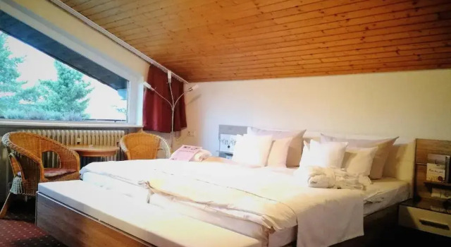 Двухместный номер Deluxe с балконом Hotel Schwarzwälder Hof